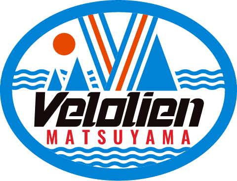 VLM